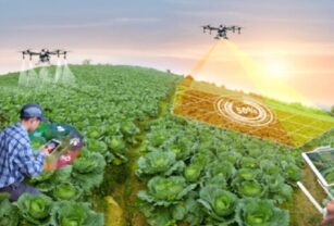 drone-technology-for-agriculture