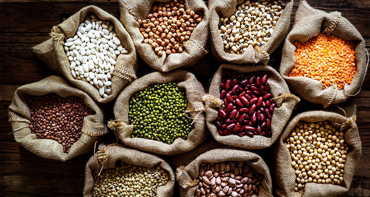 Legumbres demuestran ser excelentes alternativas a la carne roja