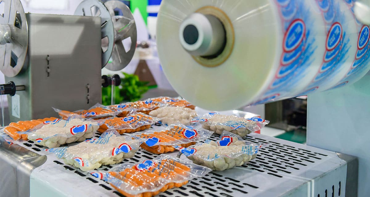 La importancia de conocer de moldes