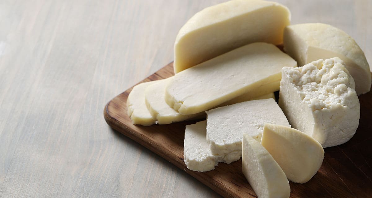 Conoce la bacteria de la mozzarella