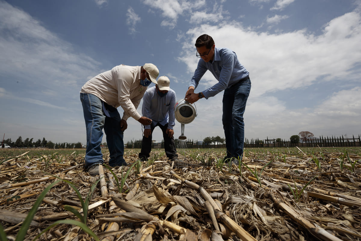La agricultura regenerativa reducirá el 24% de emisiones de gases de efecto invernadero