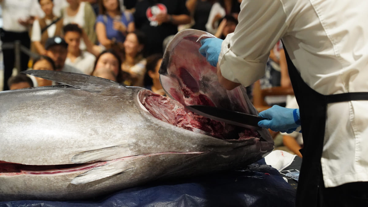 España presume en Hong Kong del "ronqueo", el arte de despiezar un atún mediterráneo