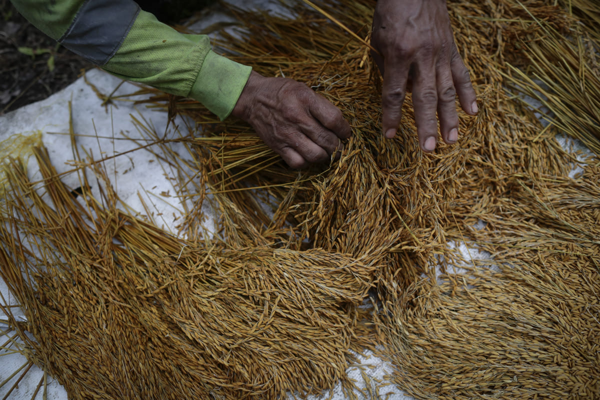 Impulsar la agricultura familiar y conectarla con los mercados para una buena alimentación