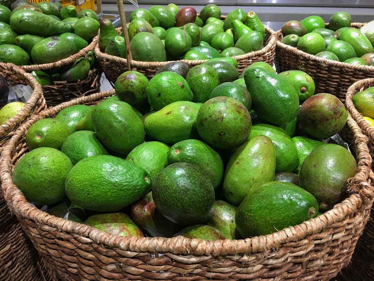 5 desafíos en el transporte de aguacate