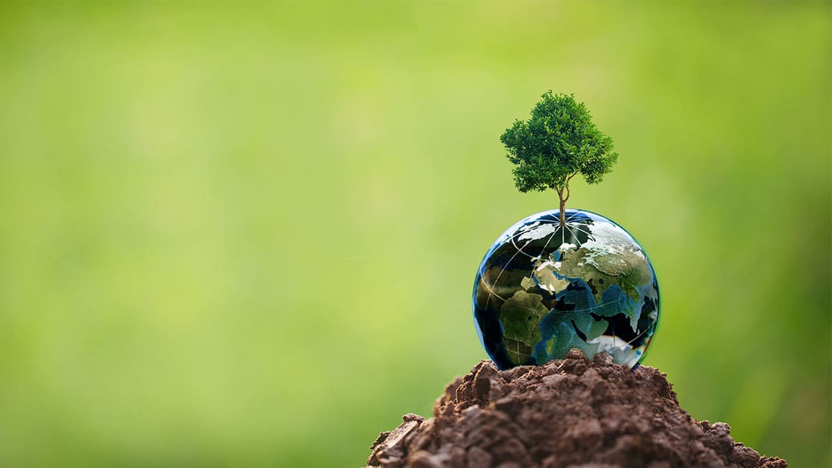 Marea del cambio climático, un llamado de acción en África
