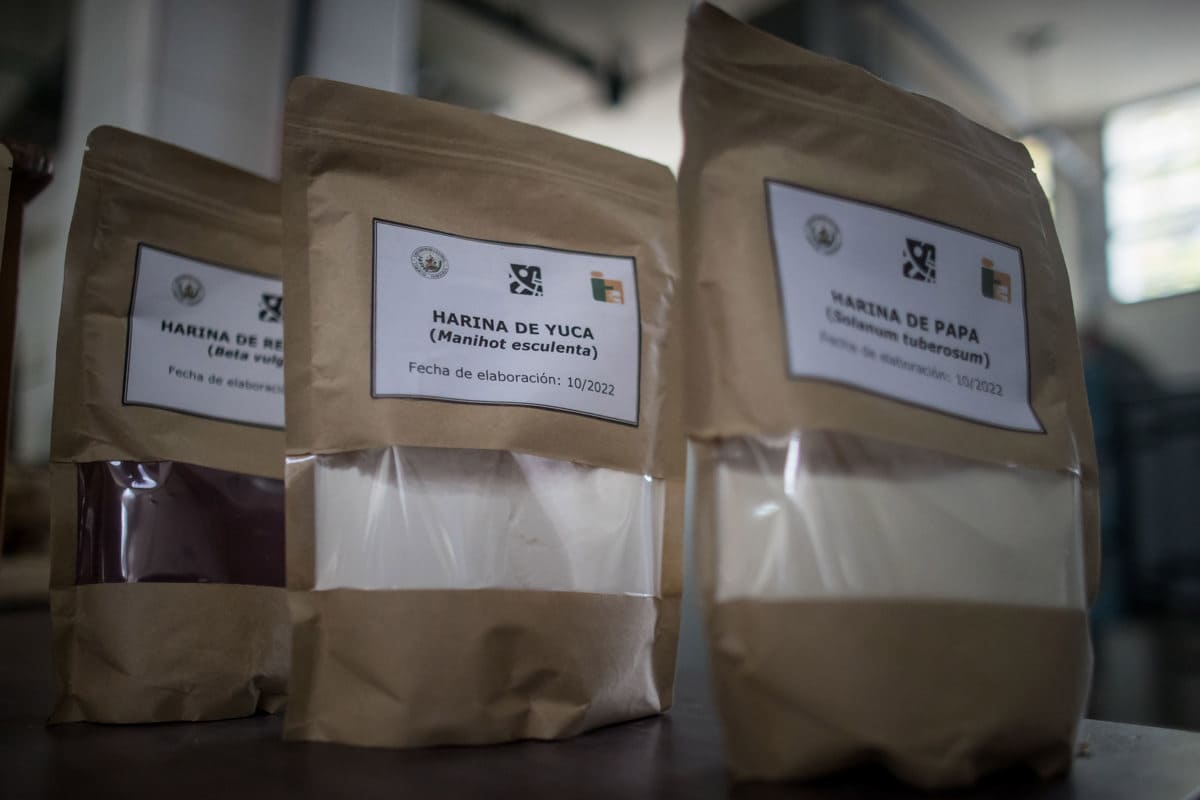 La harina como alimento inclusivo, un proyecto científico de Venezuela
