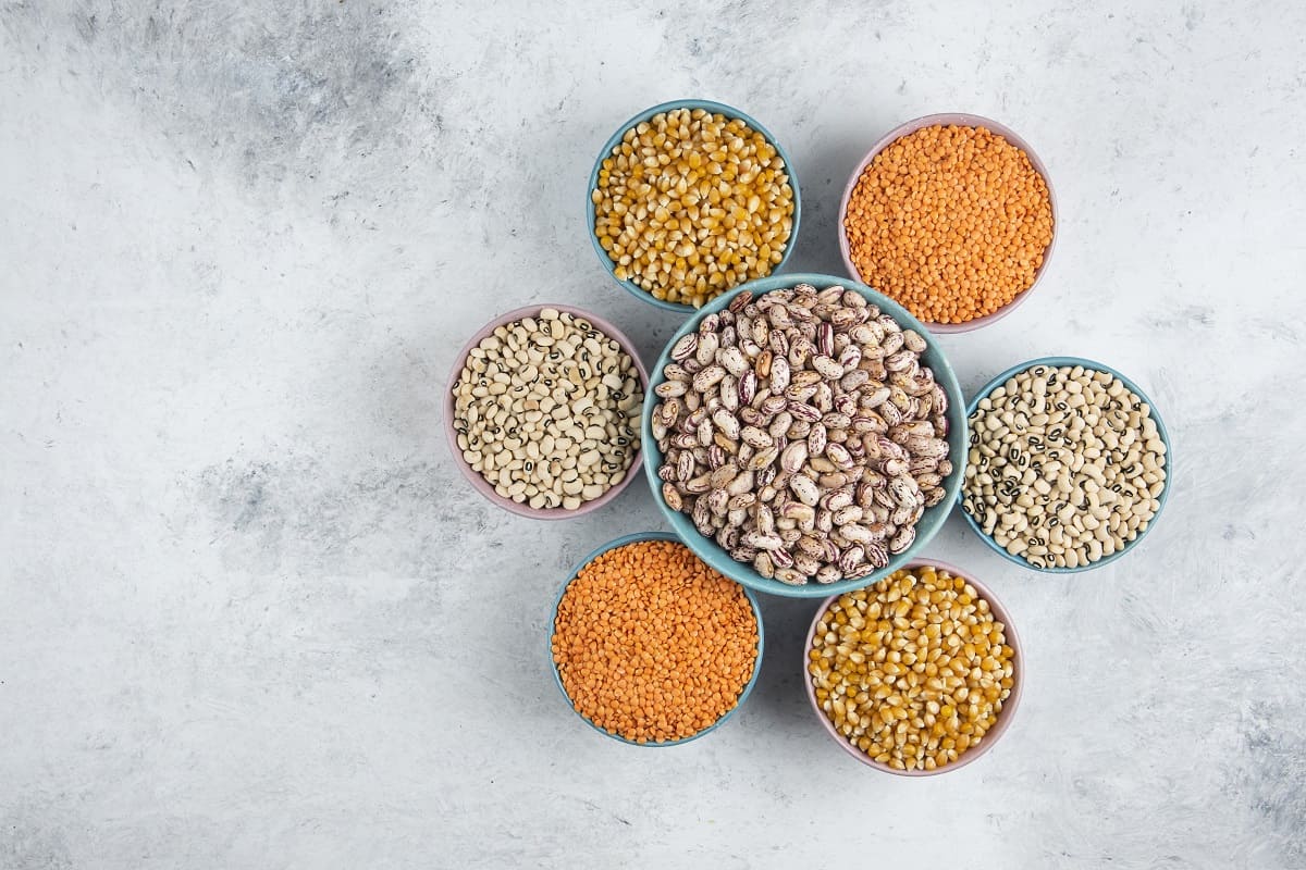 La Unión Europea levanta prohibición de la importación del grano ucraniano