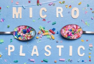 microplasticos