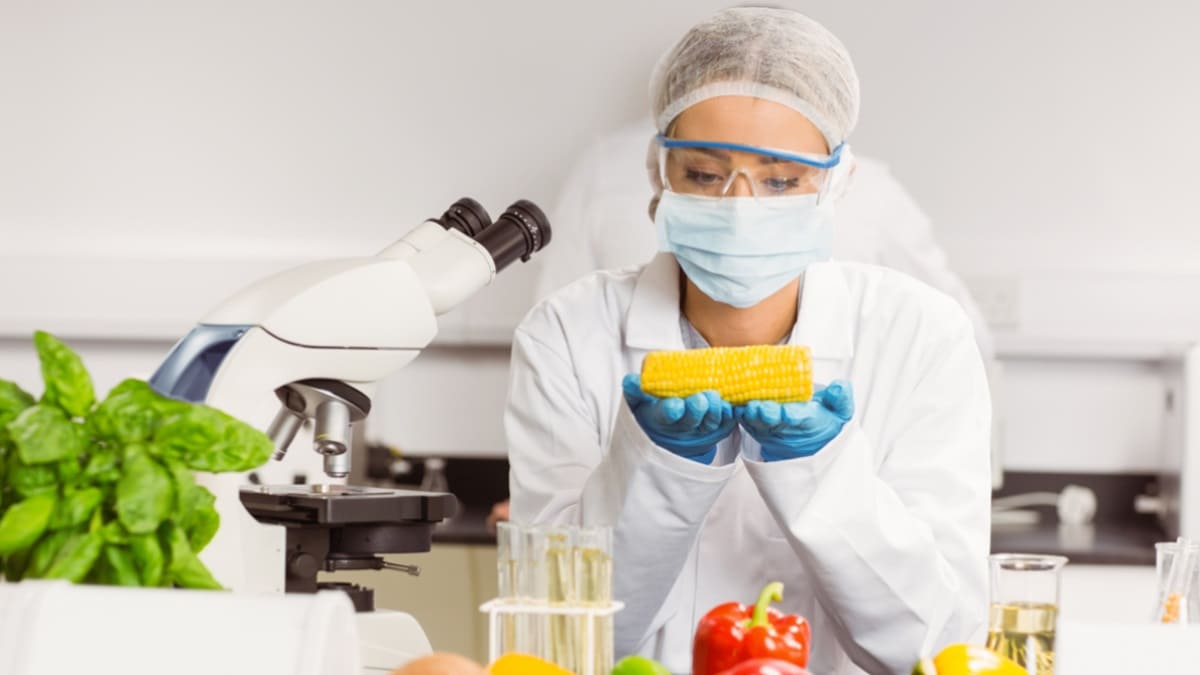 ¿Cuál es el rol de la química en la alimentación y el desarrollo de envases sostenibles?