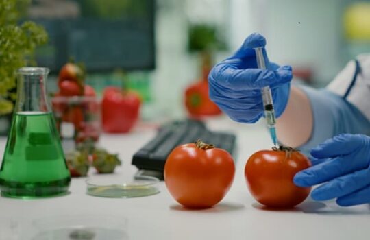 La química en la alimentación y su influencia en el packaging
