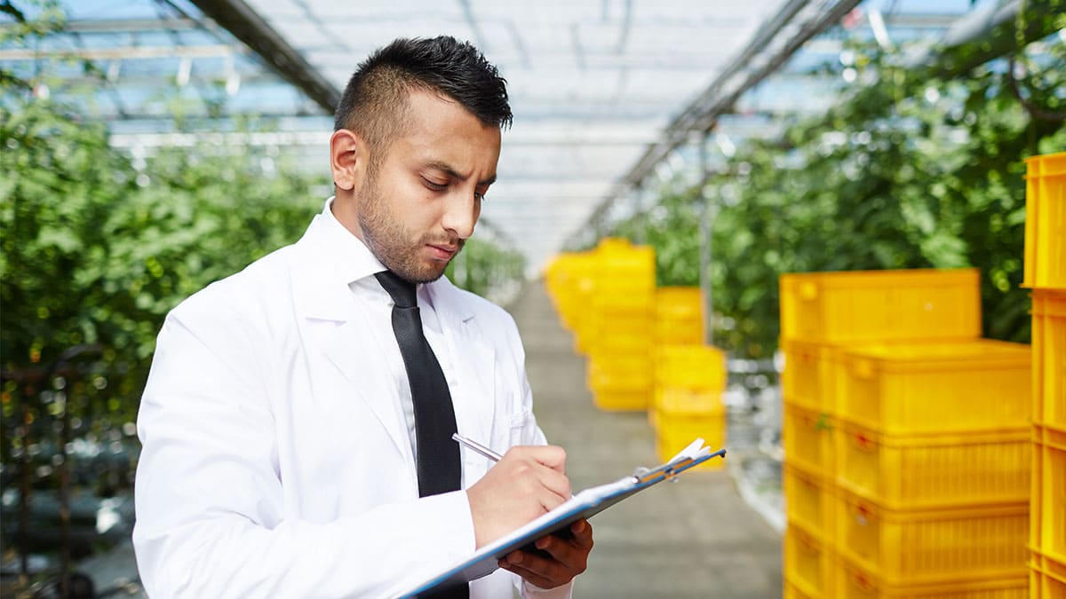 ¿Cómo la calidad y seguridad alimentaria 4.0 ayuda a empresas?