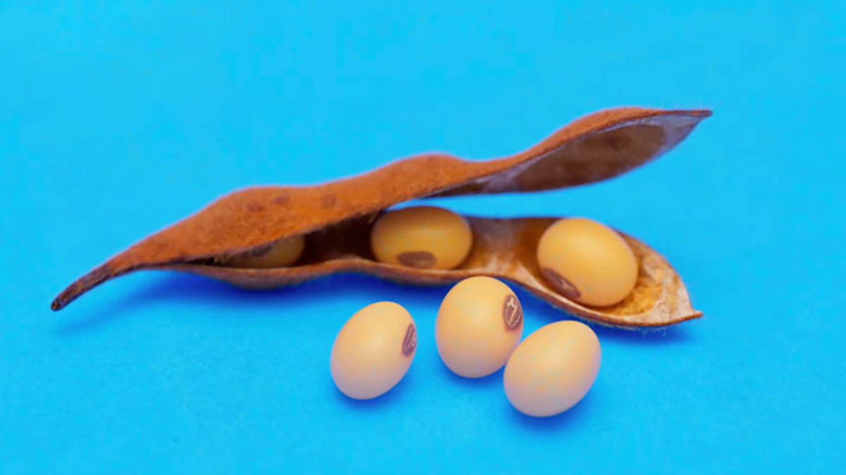 Tecnología al servicio de los productores de bebidas de soya