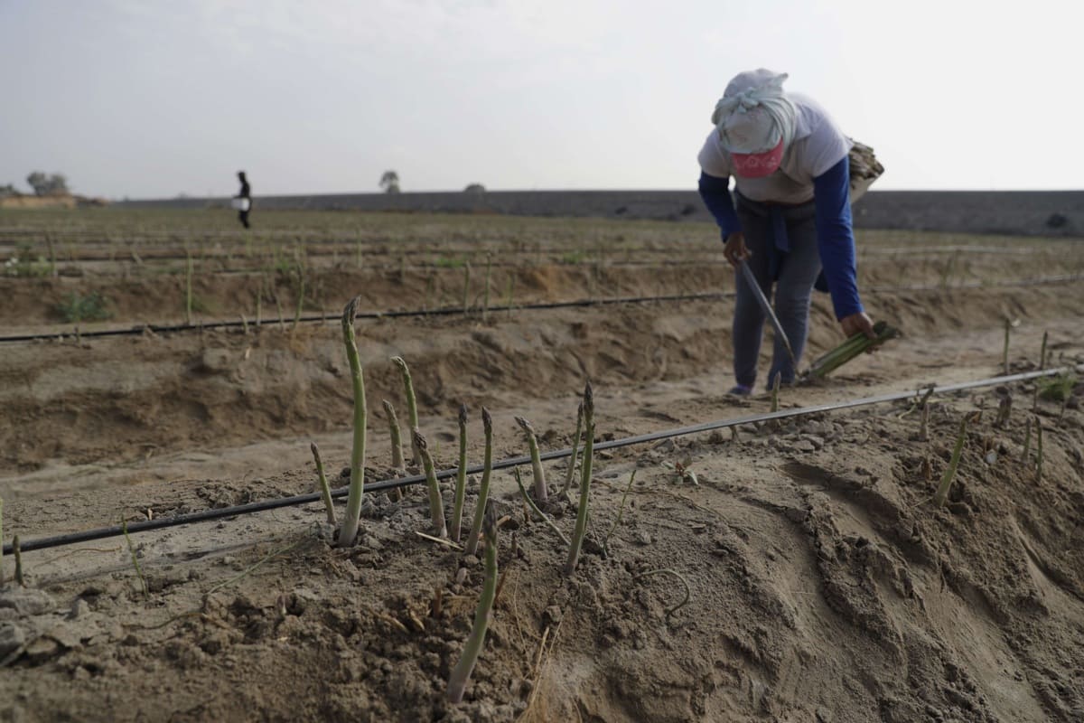 La producción nacional de Perú cayó 1,29% en septiembre y 0,63% en el acumulado del año