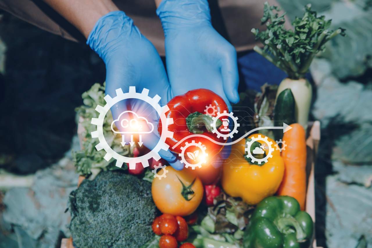 Estrategias para implementar un sistema de alimentación sostenible en la industria de alimentos y bebidas