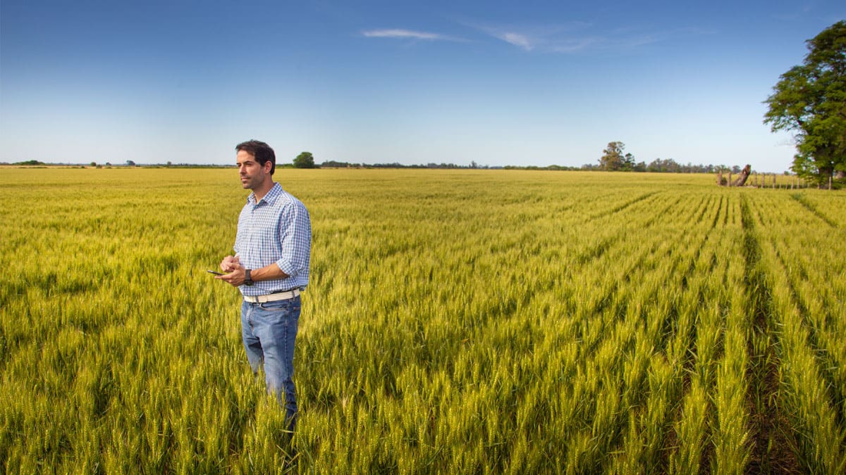 ¿Qué hace un coordinador AgTech a favor del agro?