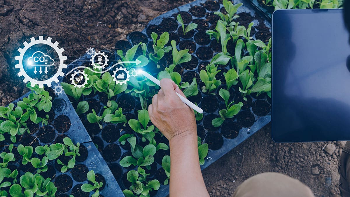Consumidores están interesados por la agricultura regenerativa