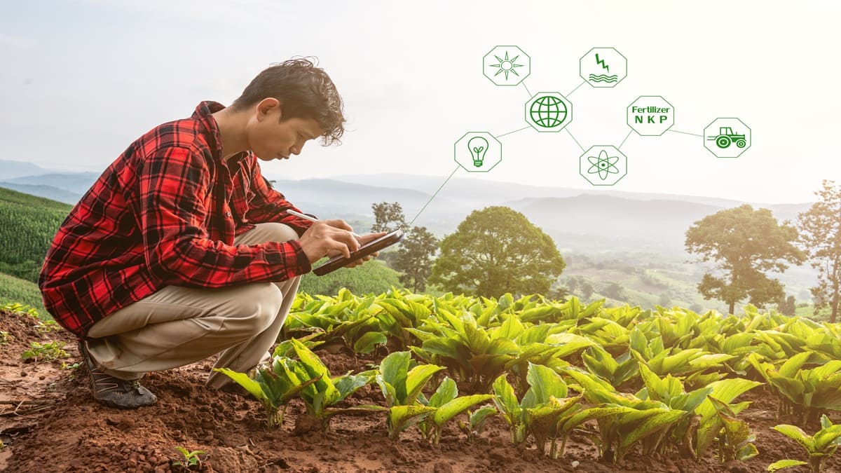 Innovación En Agricultura Sostenible 2024: Tecnologías Y Retos Actuales