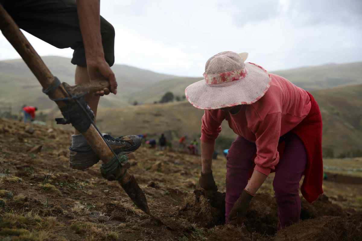 El cambio climático obliga a cambiar el calendario agrícola de comunidades andinas de Perú