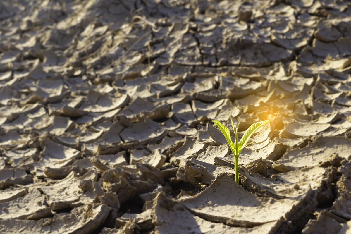 cambio climatico alimentos-corporacion-inocua