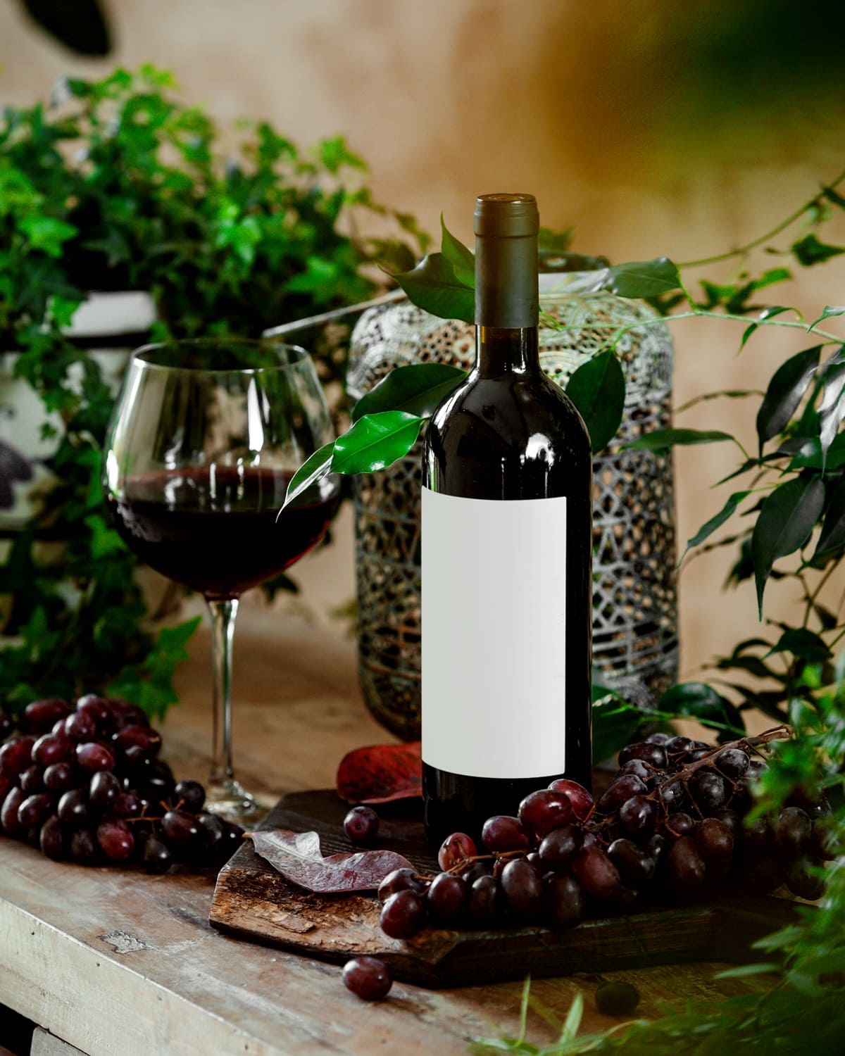 La etiqueta es la primera impresión en el packaging de vinos