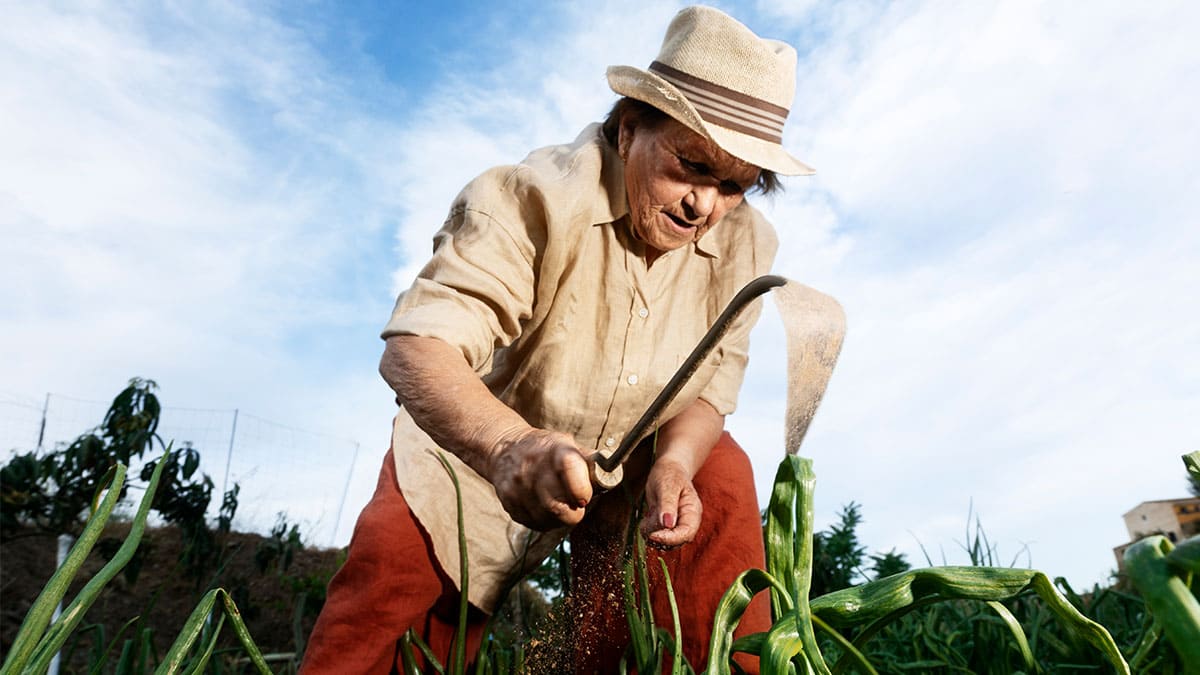 Nutrición y defensa del campo, prioridad del gobierno mexicano
