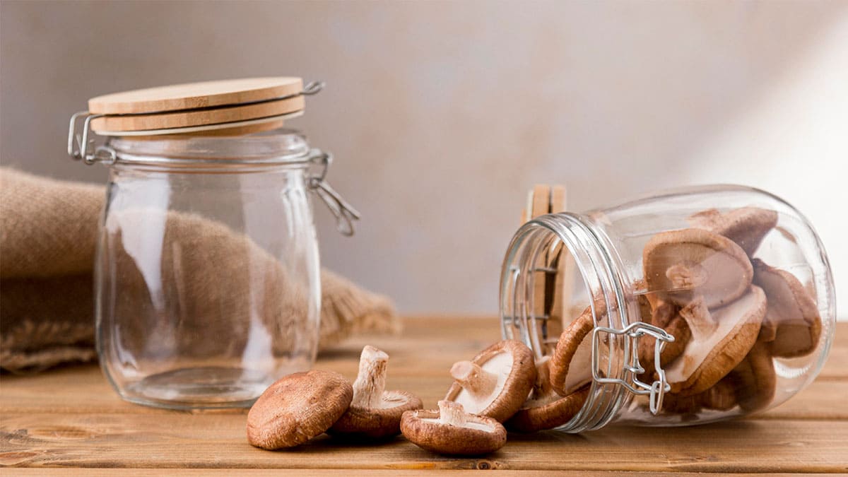 Hongos fermentados demuestran contener probióticos