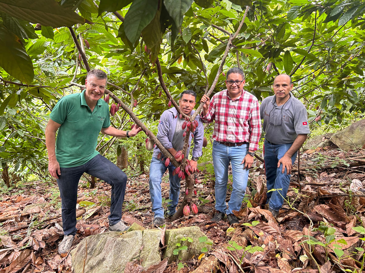 Un proyecto apoyará a productores de cacao de Honduras para exportar frutas deshidratadas