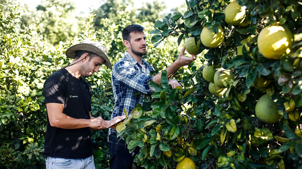 Las innovaciones Agtech ayudan a la producción del campo