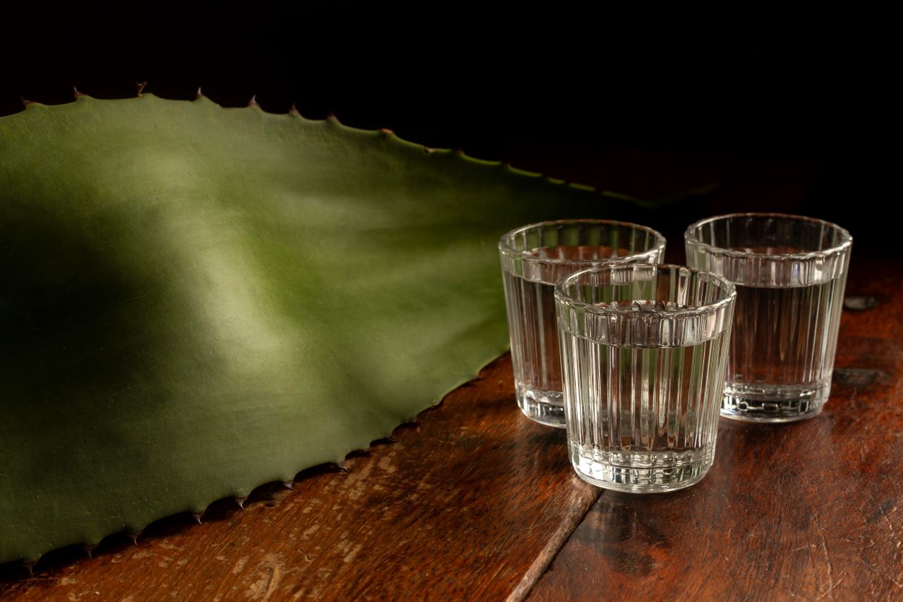 Destilados de agave: Explorando nuevos horizontes más allá del mezcal y el tequila