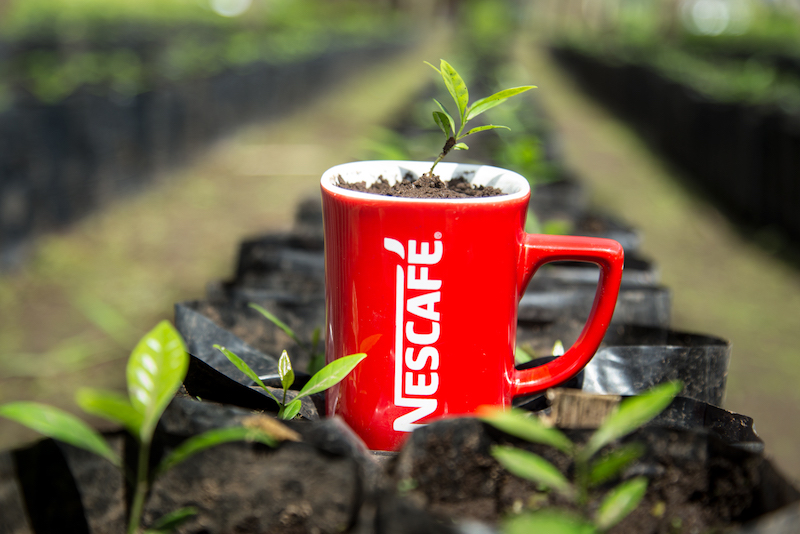 Nescafé y sus estrategias sostenibles para un café verde