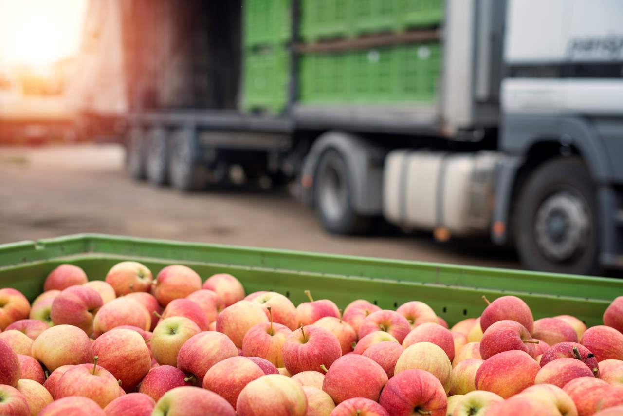 Retos y soluciones para garantizar la integridad de los alimentos durante el transporte