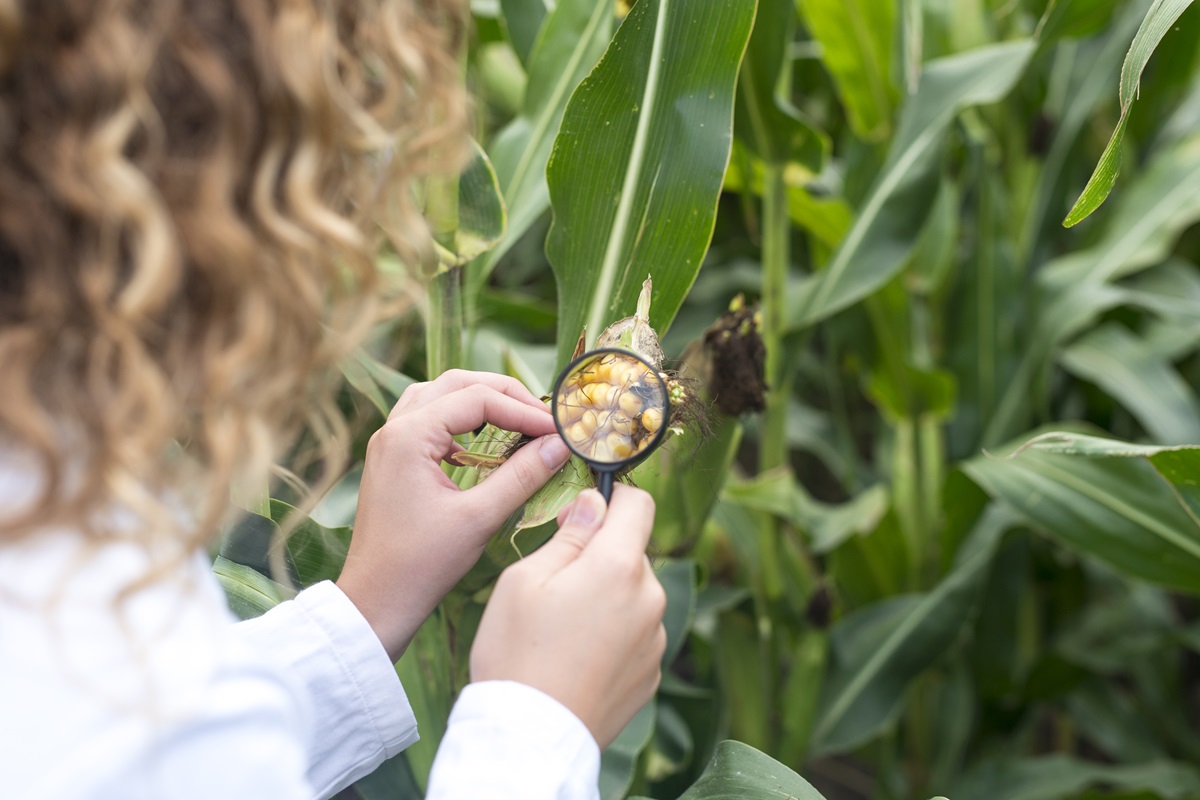 La industria alimentaria chilena enfrenta desafíos derivados del cambio climático