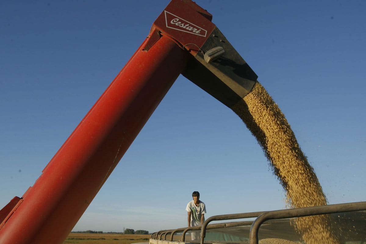 El sector agroindustrial argentino insta a "finalizar" el acuerdo entre el Mercosur y la UE