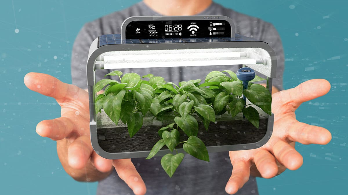 El avance de la Inteligencia Artificial en la industria alimentaria