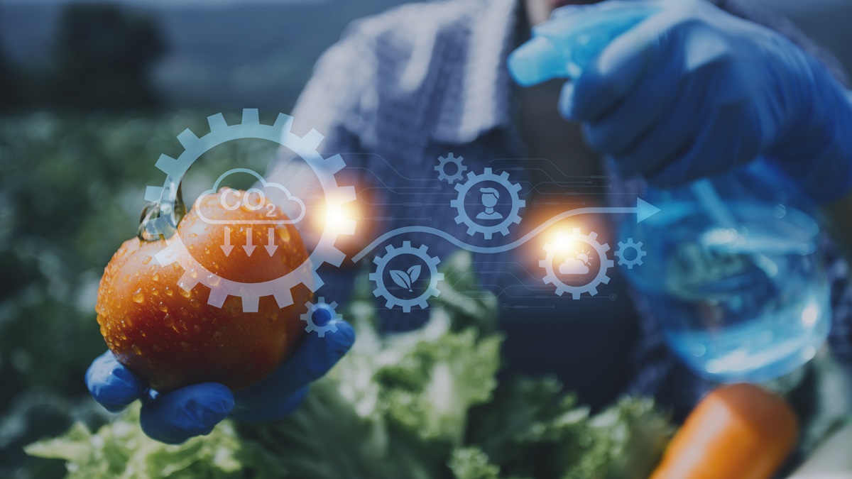¿Qué papel juega la sustentabilidad en las empresas alimentarias?