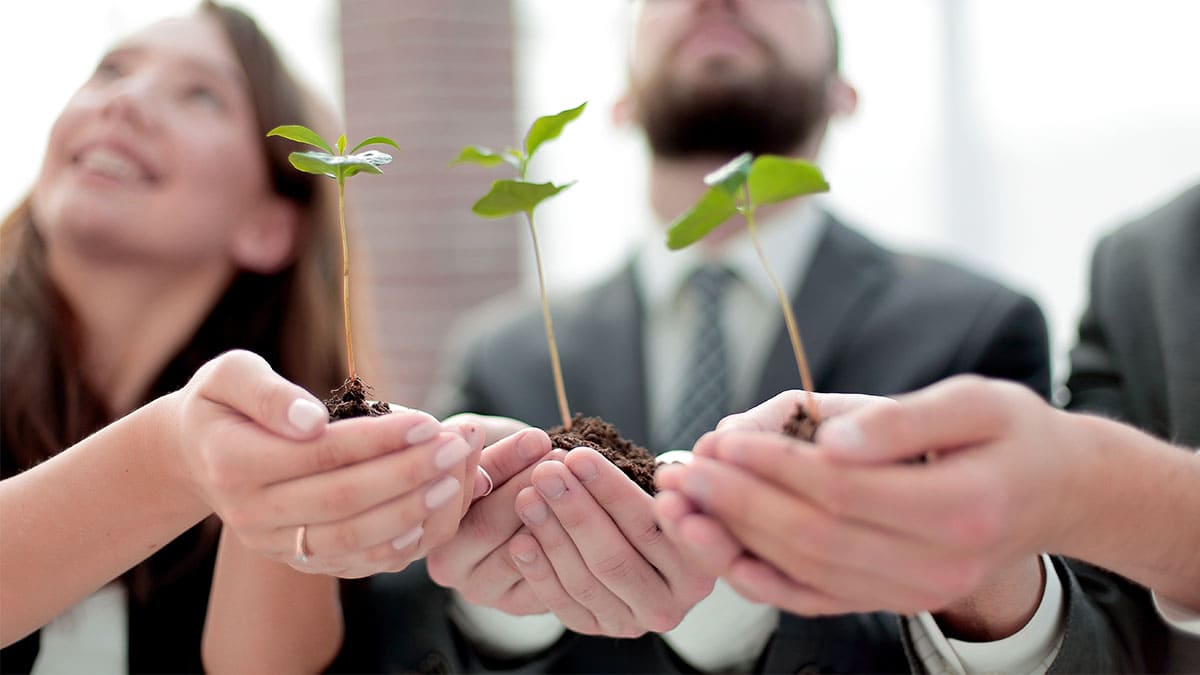 La sustentabilidad es un modelo de negocio que el consumidor agradece