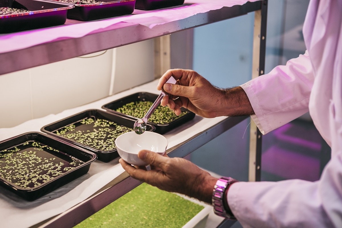 Estudian la producción de proteínas vegetales a partir de biomasas acuáticas