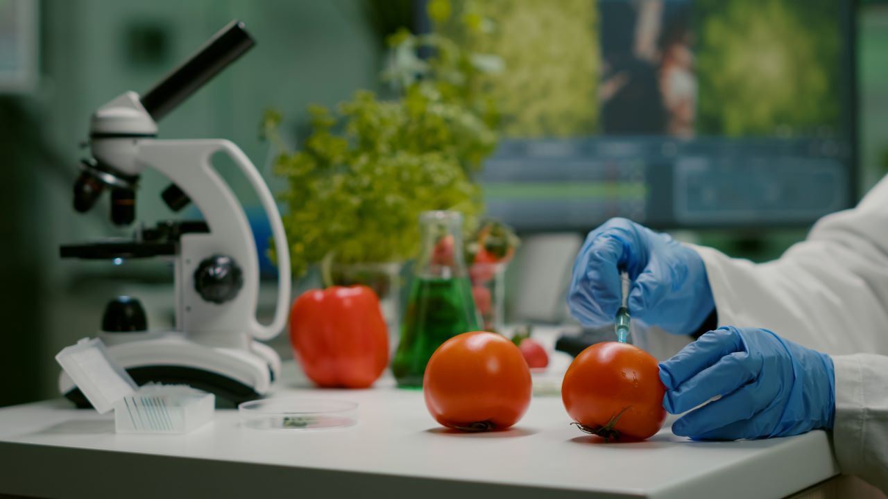 Avances en biotecnología: el rol de los microorganismos en la alimentación moderna
