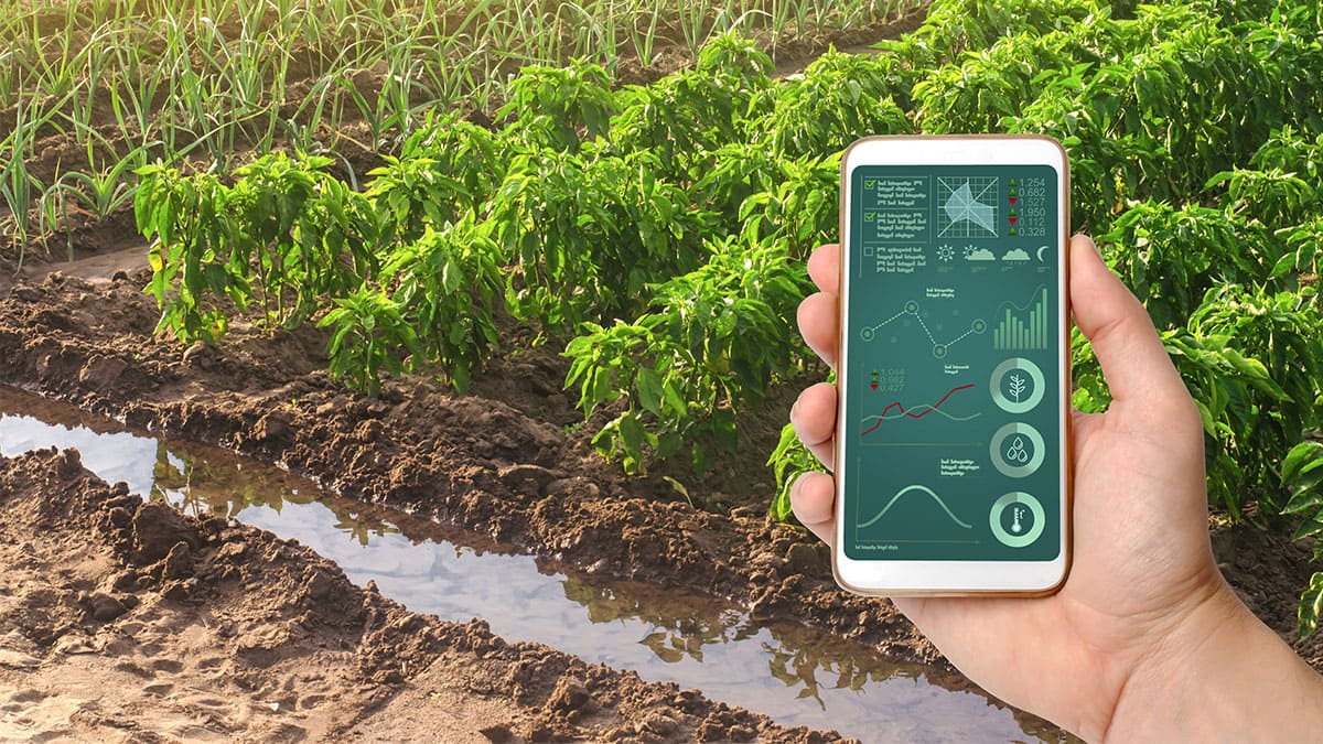 Un software de agricultura celular para todos