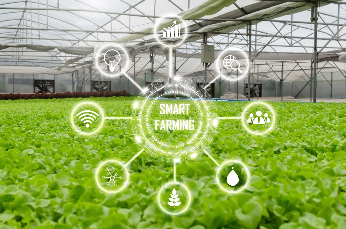 Agricultura regenerativa: principios y beneficios para la producción alimentaria