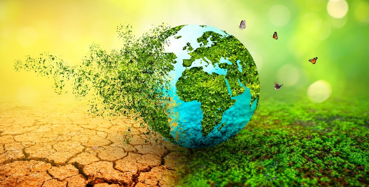 Impacto del cambio climático en la cadena trófica: un tema de preocupación