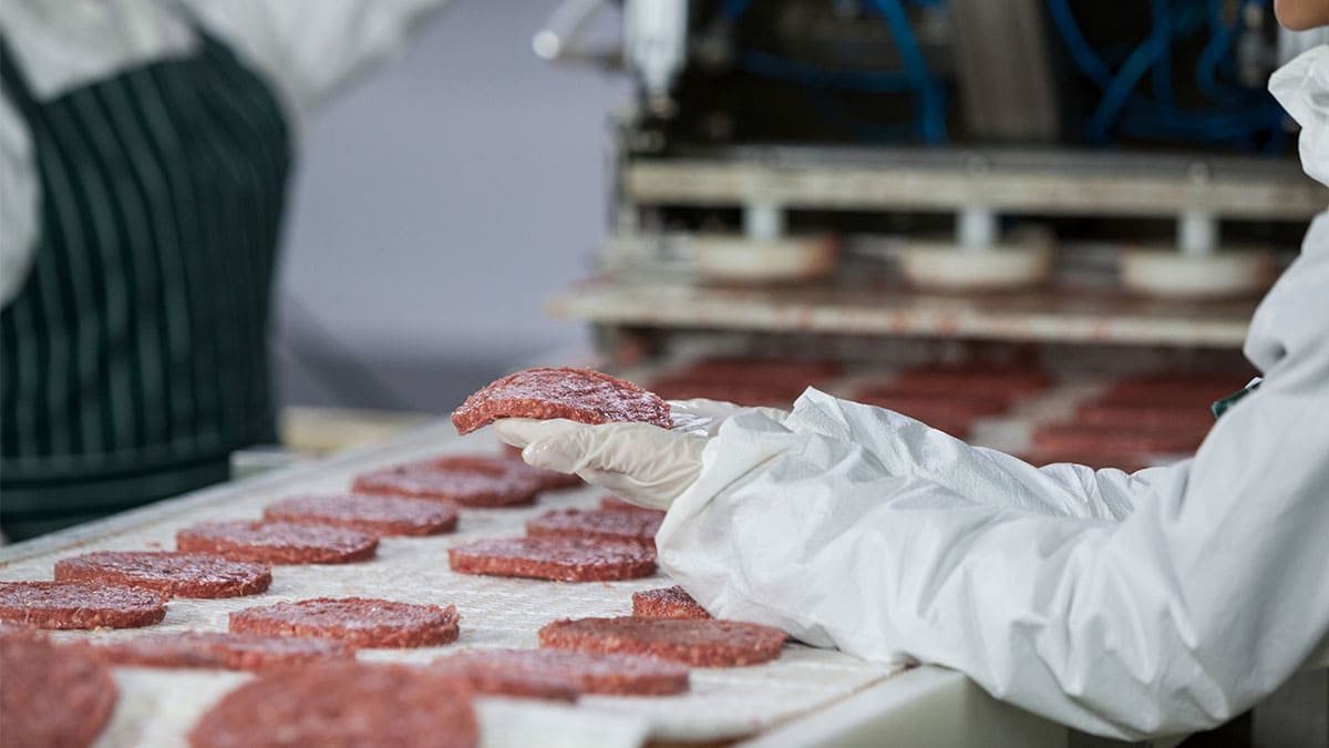 AINIA entra a la producción de carne cultivada