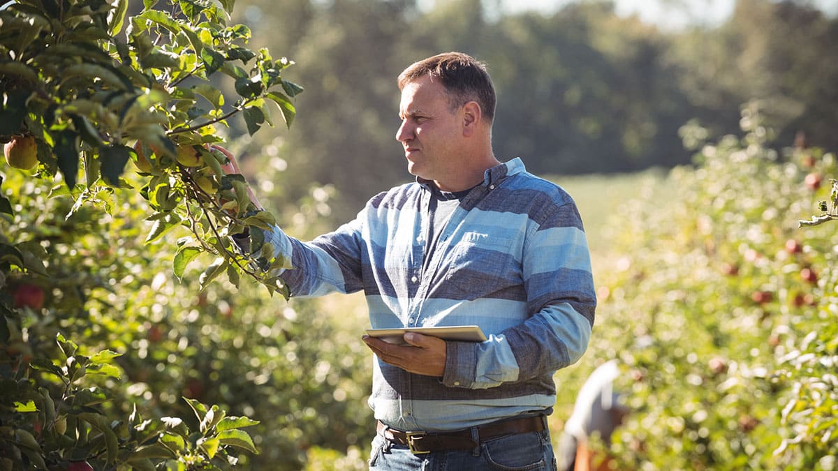 Certificaciones que necesitan los productos agroalimentarios en México para exportarse