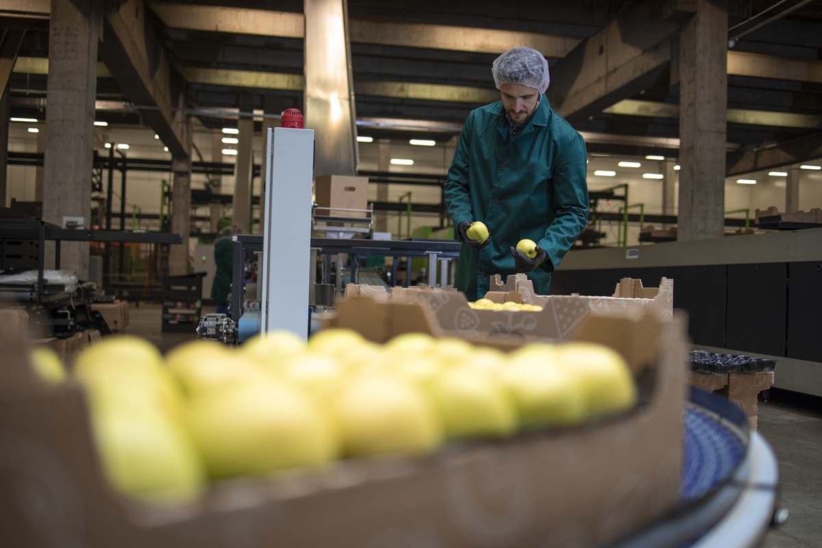 México destaca en el sector alimentario y de hostelería en España