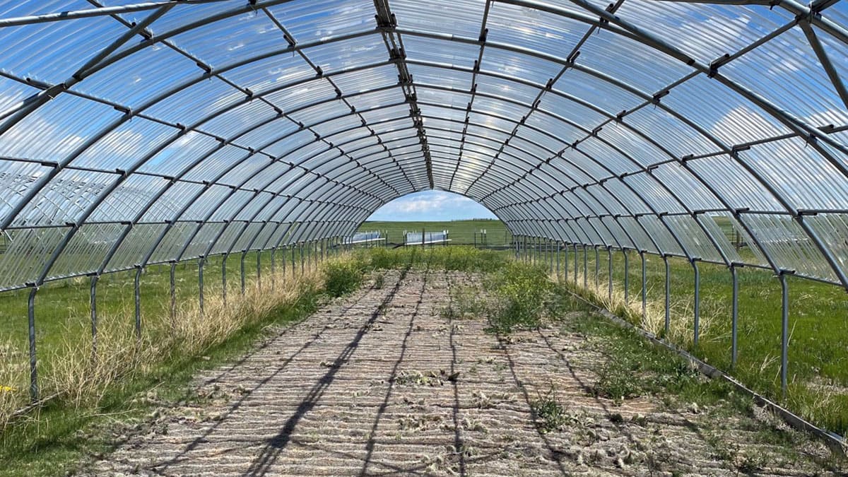 Matorrales y pastos capturan un 35% menos de CO₂ cuando la sequía es extrema