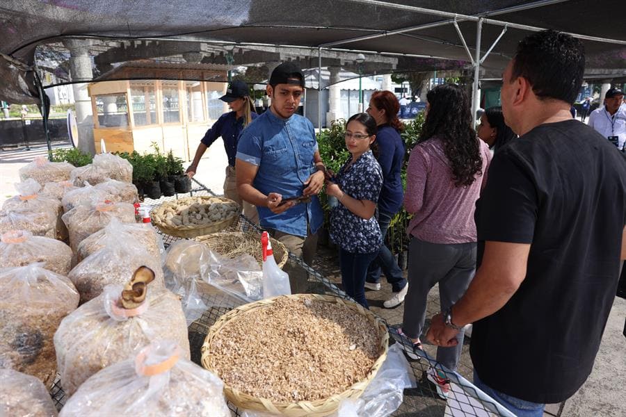 Un nuevo proyecto contra la desnutrición infantil en Guatemala ayudará a casi 20 mil personas