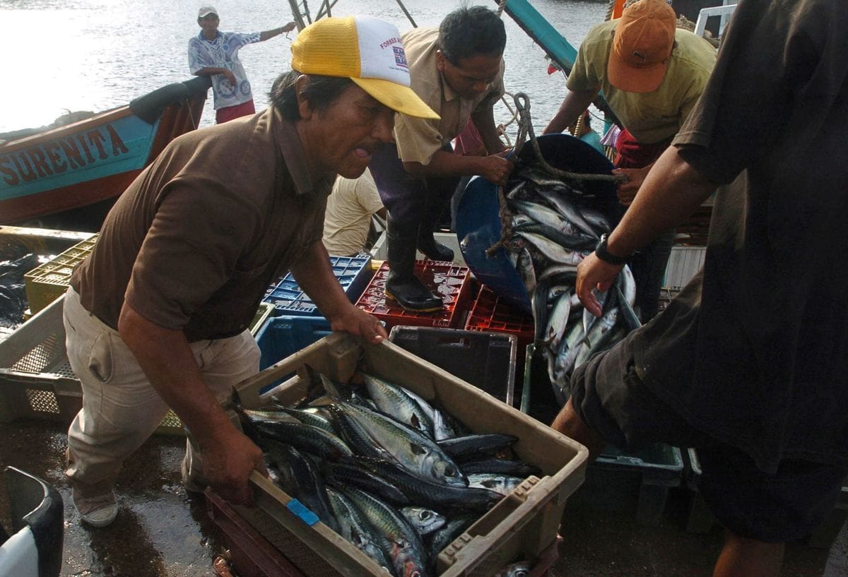 Perú cerró 2023 con una caída de su producción nacional del 0,55%