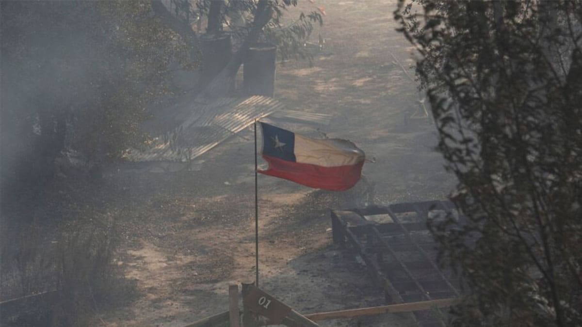 Los incendios en LATAM afectan la industria alimentaria