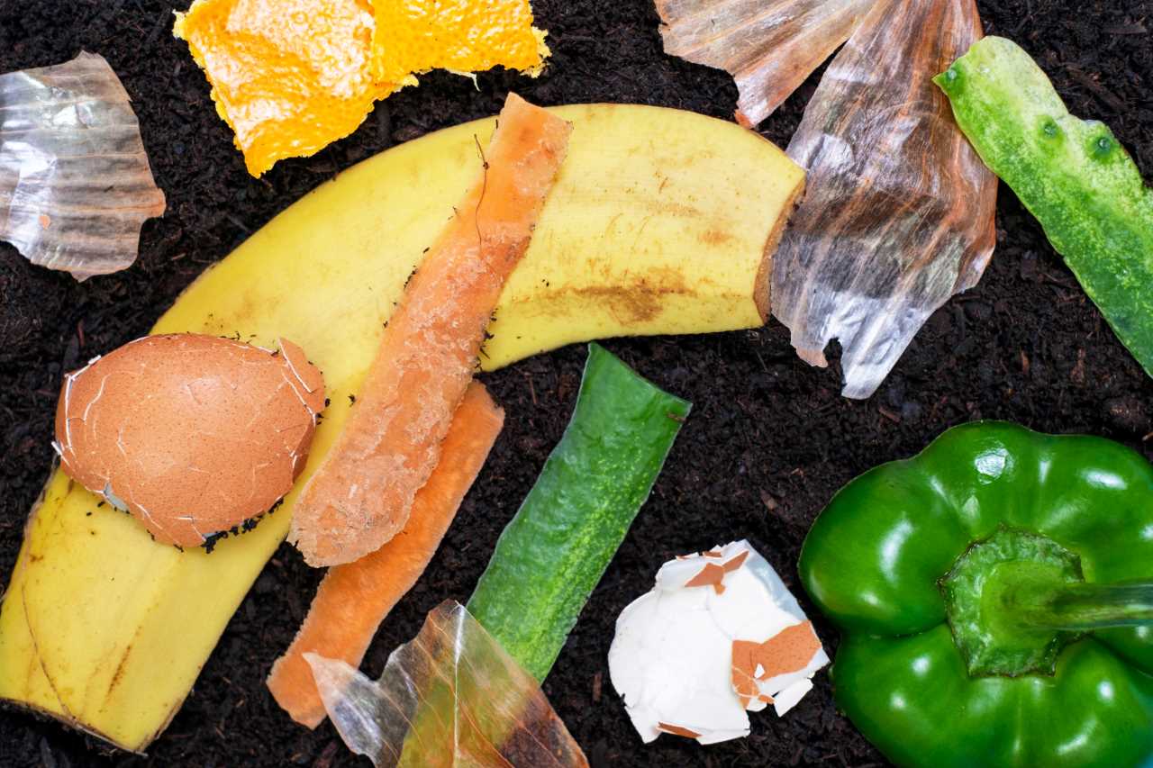La contaminación cruzada: un riesgo silencioso en la industria alimentaria