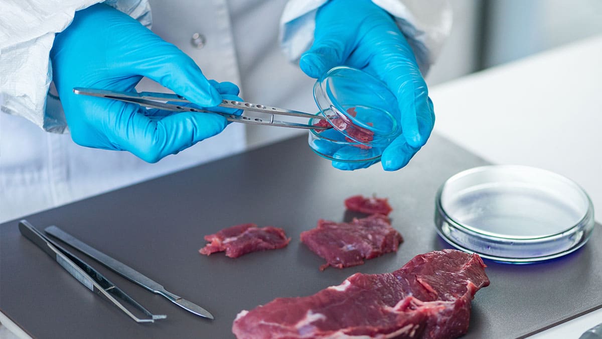 8 acciones sobre proteínas alternativas que se verán en 2024